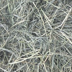 Urtegr�sh� luksus