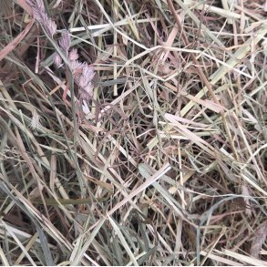 Urtegr�sh� mellem