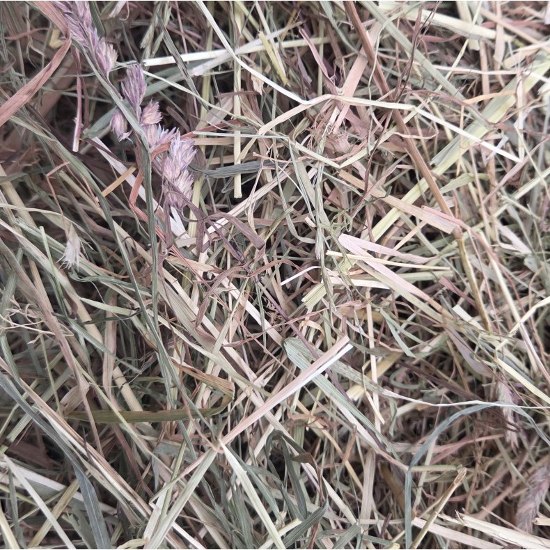 Urtegr�sh� mellem